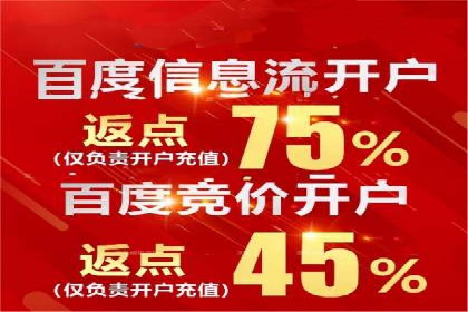 搜索引擎营销（SEM）专员的挑战与机遇